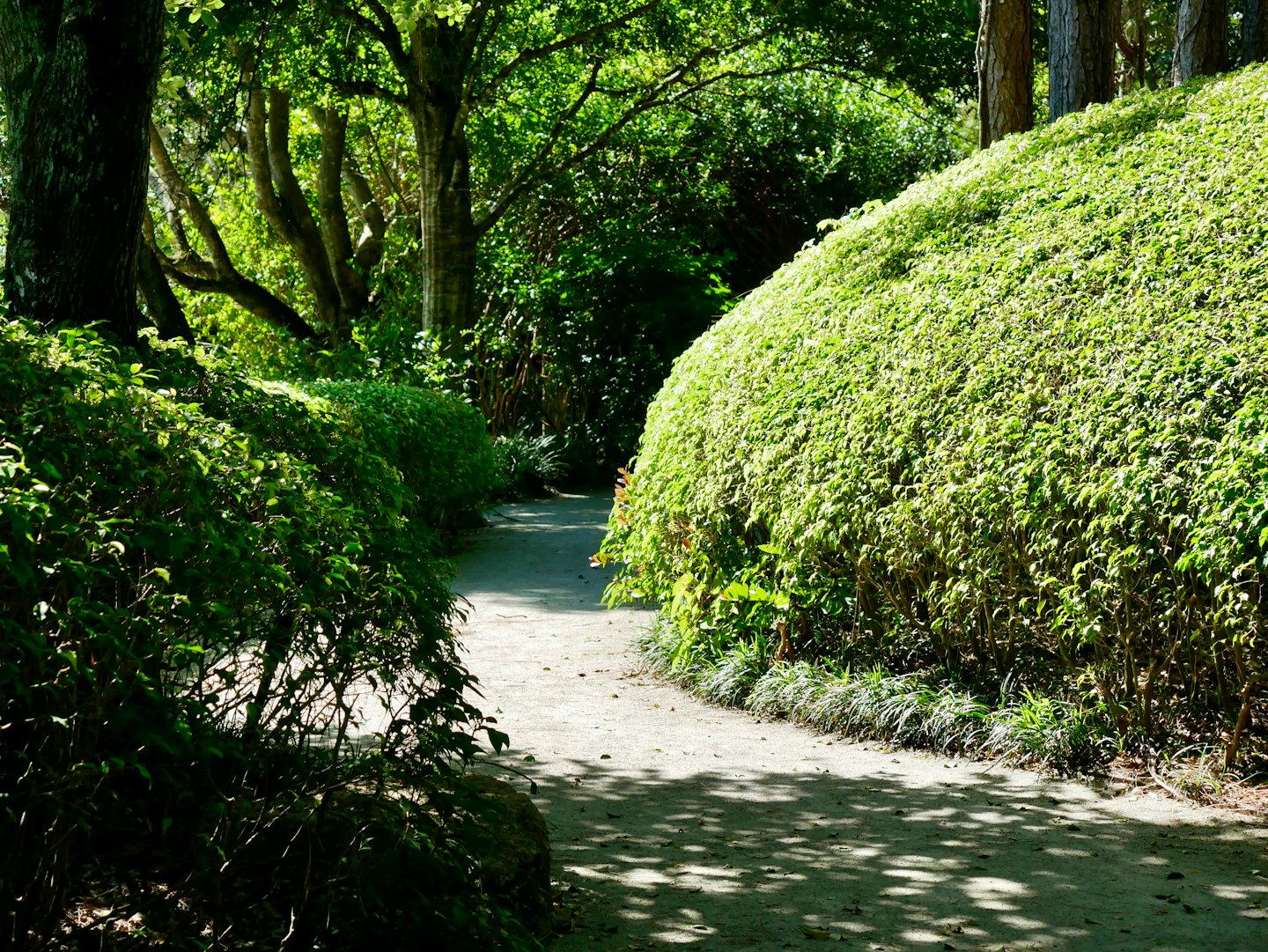 A winding path leads through a lush garden with manicured hedges.